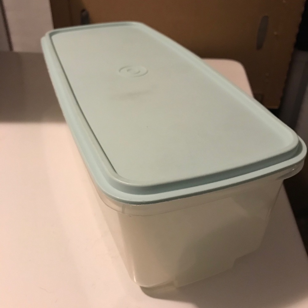 Tupperware Celery Keeper